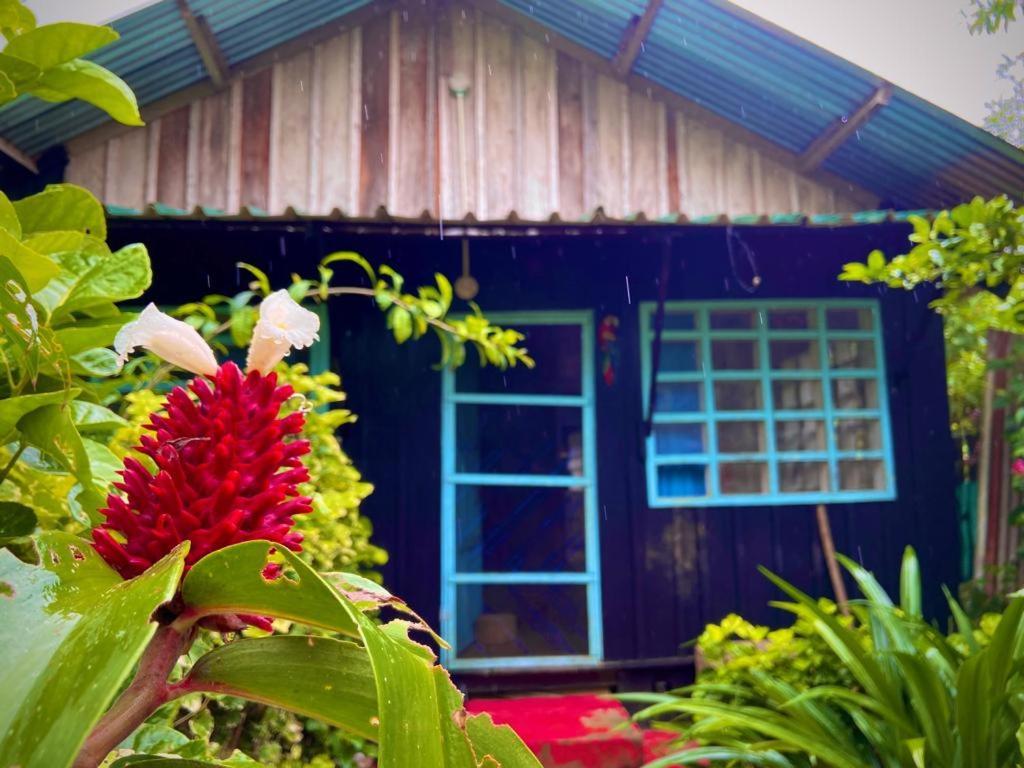 Flor De La Selva Puerto Nariño Exterior foto